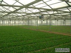 农业蜜桃AV片下载设备使用方法